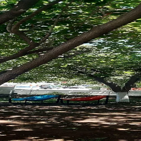 Dut Otel Selimiye (Aegean)